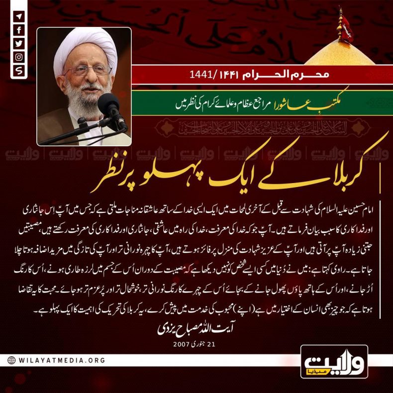 مکتبِ عاشورا مراجع عظام و علمائے کرام کی نظر میں | کربلا کے ایک پہلو پر نظر