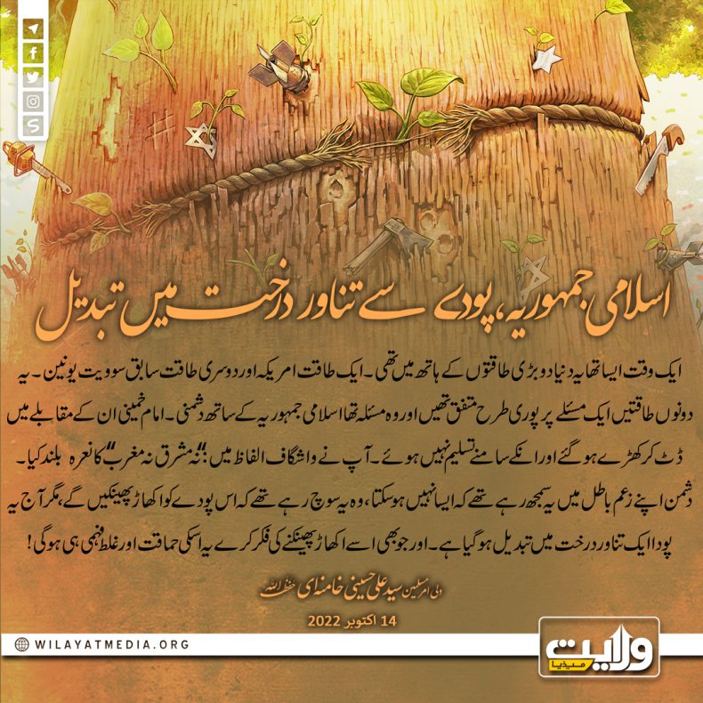 اسلامی جمہوریہ، پودے سے تناور درخت میں تبدیل