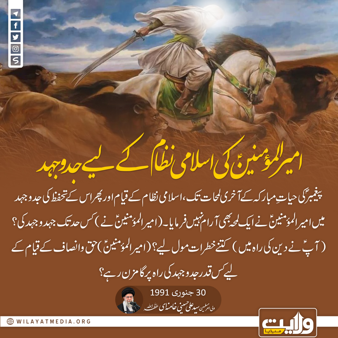 امیر المؤمنینؑ کی اسلامی نظام کے لیے جدوجہد