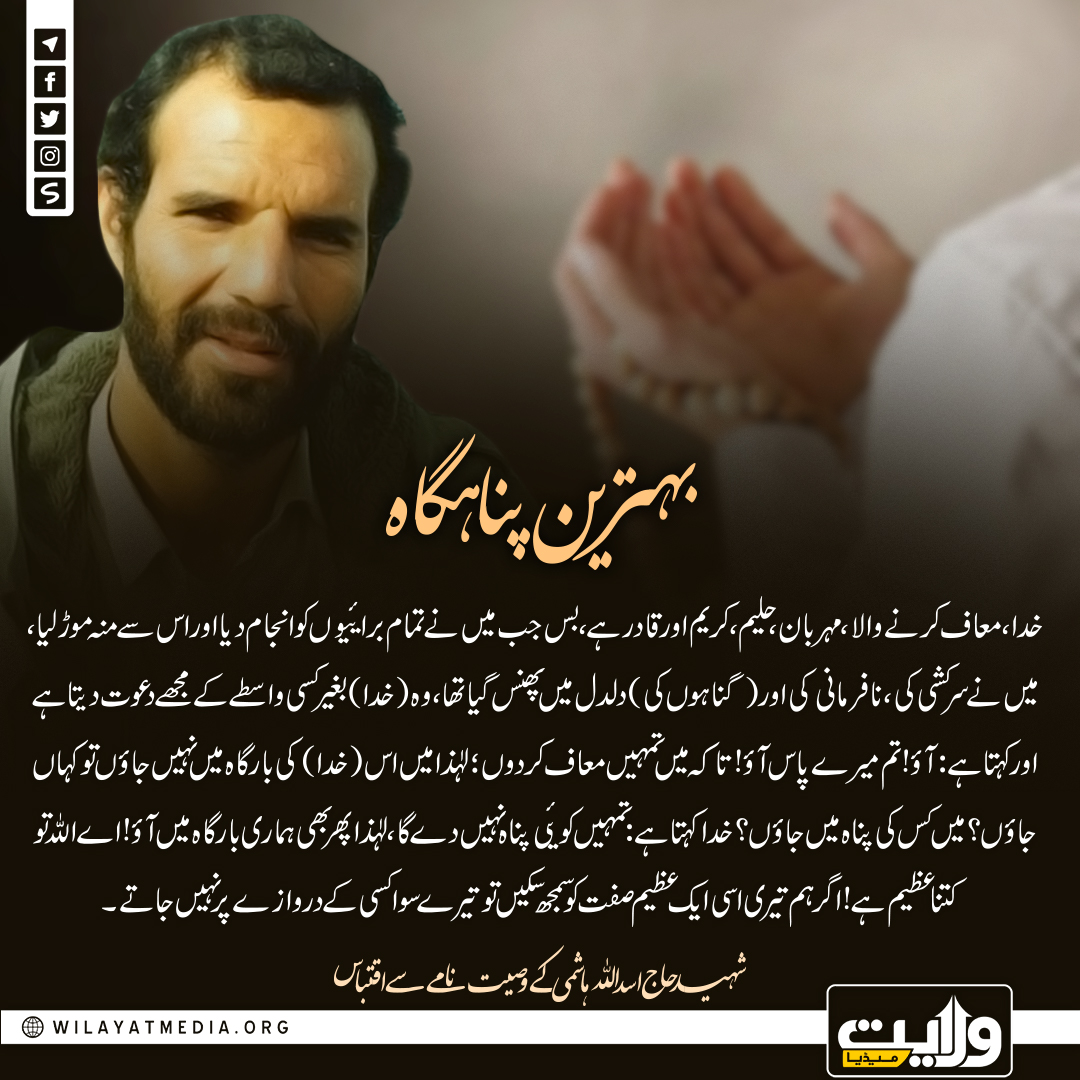 بہترین پناہگاہ